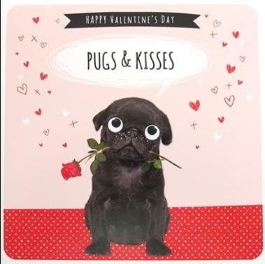 Greeting Card (PLK4211) - Valentine's Day - Pugs, Valentine's Day - From The Froot Loop! Range.