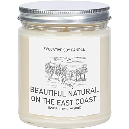 Best Homesick Candle New York 2024 Where to Buy?