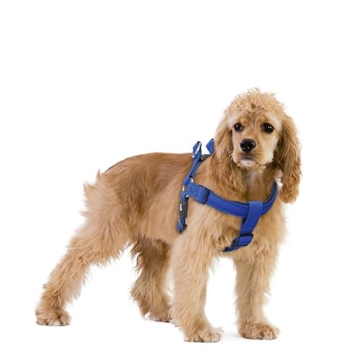 KRUZ PET KZA201-02L Step in Mesh Dog Harness, No Pull, Easy Walk, Quick Fit, Comfortable, Adjustable Pet Harnesses for Walking, Training, Small, Medium, Large Dogs - Blue - Large