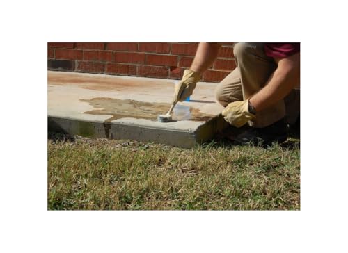 SAKRETE | Concrete & Asphalt Cleaner | 1 qt
