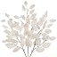 Ivory White