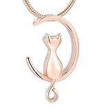 Color: como se muestra kliy Caja Funeraria Forma De Gato Regalo De Mujer Collar De Urna Conmemorativa Mantenga Cenizas De Animales Joyas Urnas Fúnebres Ataúd De Mascotas Colgantes Y Dijes De Cremación_con_Cadena