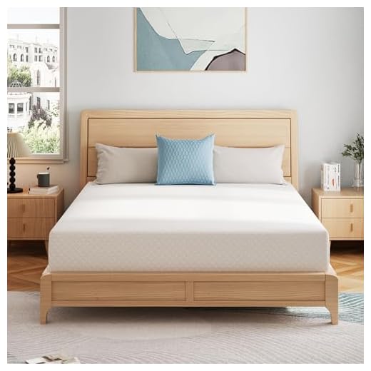 Robot Aspirapolvere Intelligenti SynthoSpace Materasso Queen da 30,5 cm, in memory foam, senza fibra di vetro e rigidità media, schiuma certificata CertiPUR-US per un sonno fresco e sollievo dalla pressione, letto in una scatola, 152