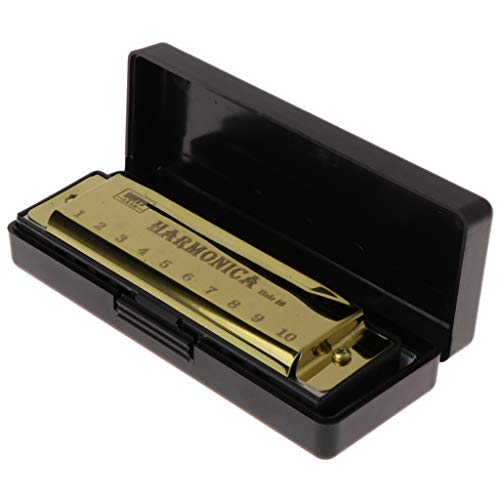 Jackyee Harmonica 10 Holes Blues-Gold 10 Holes C Key Harmonica Bluesy틳ߋP[Xt
