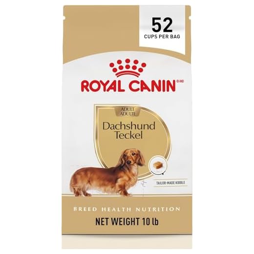 Royal Canin Breed Health Nutrition Dachshund Adult Dry Dog Food, 10 lb Bag