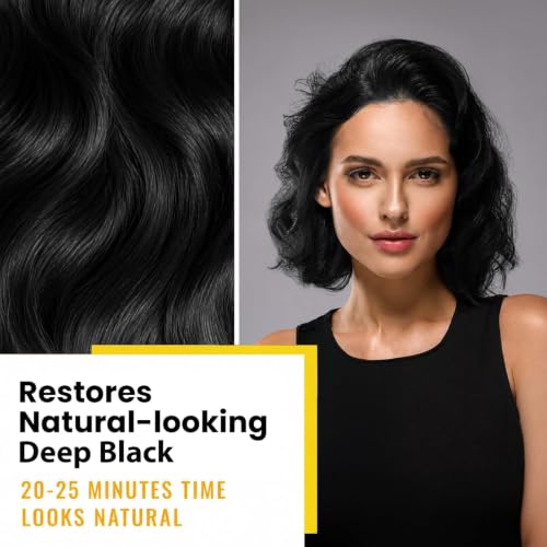 Image of KINGMING Hair Dye Shampoo 3 in 1 for Gray Hair (Deep Black)