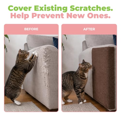 Best Pet Supplies Catify Cat Scratcher, Fun Interactive Scratchers, Posts, Poles, Claw Safe, Furniture Saver Indoor Play Support Natural Cat Behaviors Heavy Duty - Brown Mat - L: 39" by Best Pet Supplies - Image 6