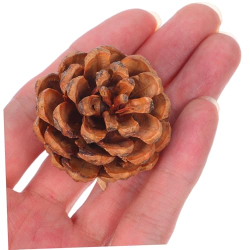 Natural rustic pinecones pour loisirs créatifs et décoration de table