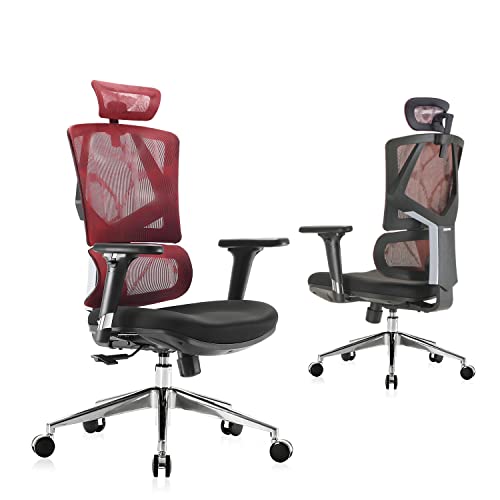 7 Best Sihoo Ergonomic Office Chair Review (2 Is Amaze)