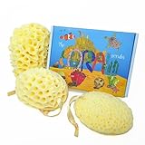 The Coral Scrubs - Spugna da bagno familiare, confezione da 3 spugne marine, spugne da bagno, spugna doccia, spugne per bambini per il bagno del neonato, spugne da bagno per adulti, spugna da bagno
