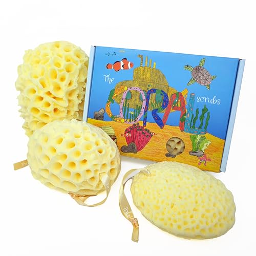 The Coral Scrubs - Spugna da bagno familiare, confezione da 3 spugne marine, spugne da bagno, spugna doccia, spugne per bambini per il bagno del neonato, spugne da bagno per adulti, spugna da bagno