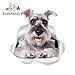 A/X Autocollant de Voiture 13cm x 12.4cm Autocollant De Voiture Super Schnauzer Chien Autocollants pour Mur Réfrigérateur Toilette Gris Schnauzer Amant Déchiré Décalque Déchiré