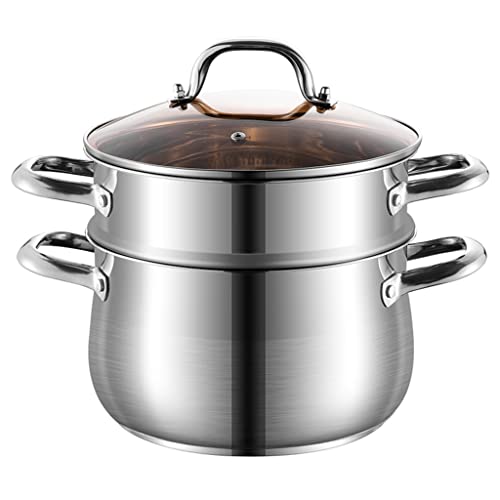 BOGDTF Olla para cocinar al Vapor con Dos ollas, ollas de Vapor con Tapa y Asas de Acero, Olla de Vapor con Base de cápsula de 2 niveles/24 cm