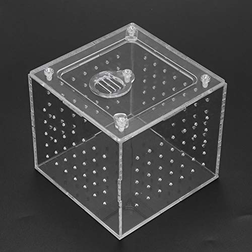 Transparante Reptiel Insect Kijkdoos, Levend Voedsel Opslag Acryl Reptiel Kweekbox voor Spinkrekels Slakken… - Afbeelding 8