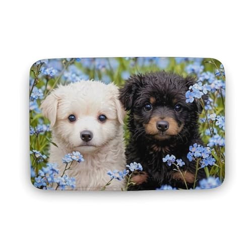 Č  L  oX}bg z/唻 փ}bg  O    ~ Aj LN^[ @}bg   ʏ