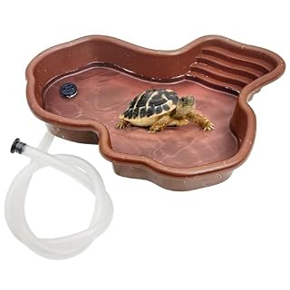 Meiso bassin reptile 31 x 25 x 5 cm avec rampe