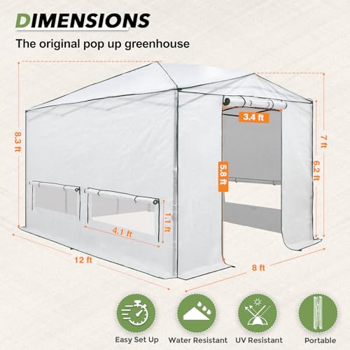 Image of EAGLE PEAK 12x8 Easy Setup Pop Up Greenhouse, Support Pole, Translucent