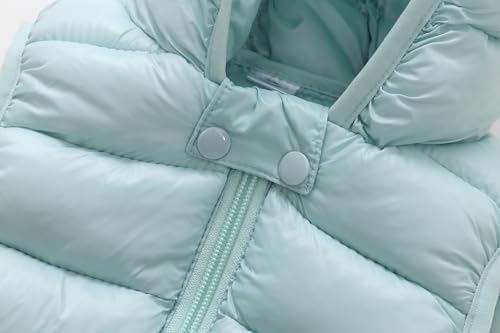 Image of AIWUHE Baby Boys Girls Hooded Puffer Vest Winter Lightweight Sleeveless Bear Ears Zipper Up Jacket Down Vest Coat Vests Kids