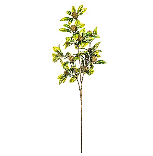 Eurocinesa RIF.50280C15 Navidad Rami con Foglie Verdi Scatola da 12 Pezzi 62 cm oro