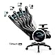 Diablo X-One 2.0 Gaming Stuhl Bürostuhl Schreibtischstuhl Verstellbare Armlehnen Ergonomisches Design Nacken/-Lendenkissen Schwarz King (XL)