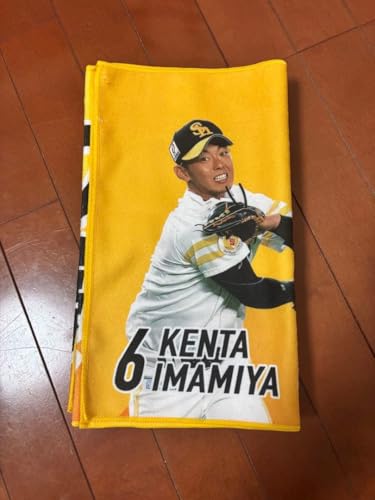 \tgoNz[NX NC}bNX tFCX^I {I