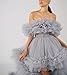 Jerald Norton Womens Tulle Prom Dresses Ball Gown Off The Shoulder High Low Ruffles Formal Party Dresses Dusty Pink