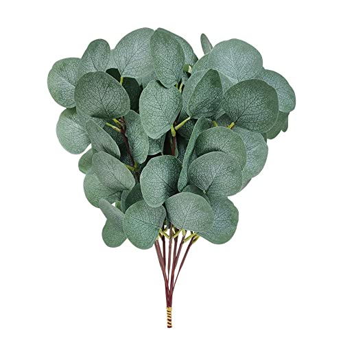 PLCatis Künstliche Eukalyptus 10 Stück Eukalyptus Künstlich Zweig 27cm Eucalyptus Leaf Natürlich Aussehen Blätter Eukalyptus Deko Silber Dollar Blätter für Haus Hochzeit Deko Brautstrauß Cover