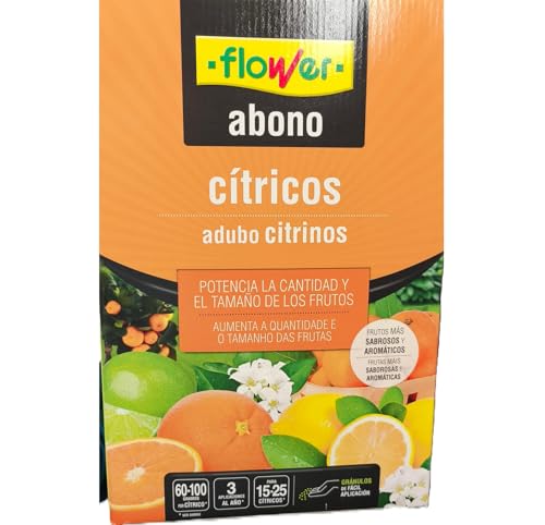 Flower 10559 10559-Abono cítricos, 2 kg
