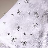 Mini Spiders with Spider Webs Cake Molds Stainless Steel Cake Rings Cake