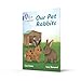 Our Pet Rabbits: Band 04/Blue (Collins Big Cat Phonics for Letters and Sounds)