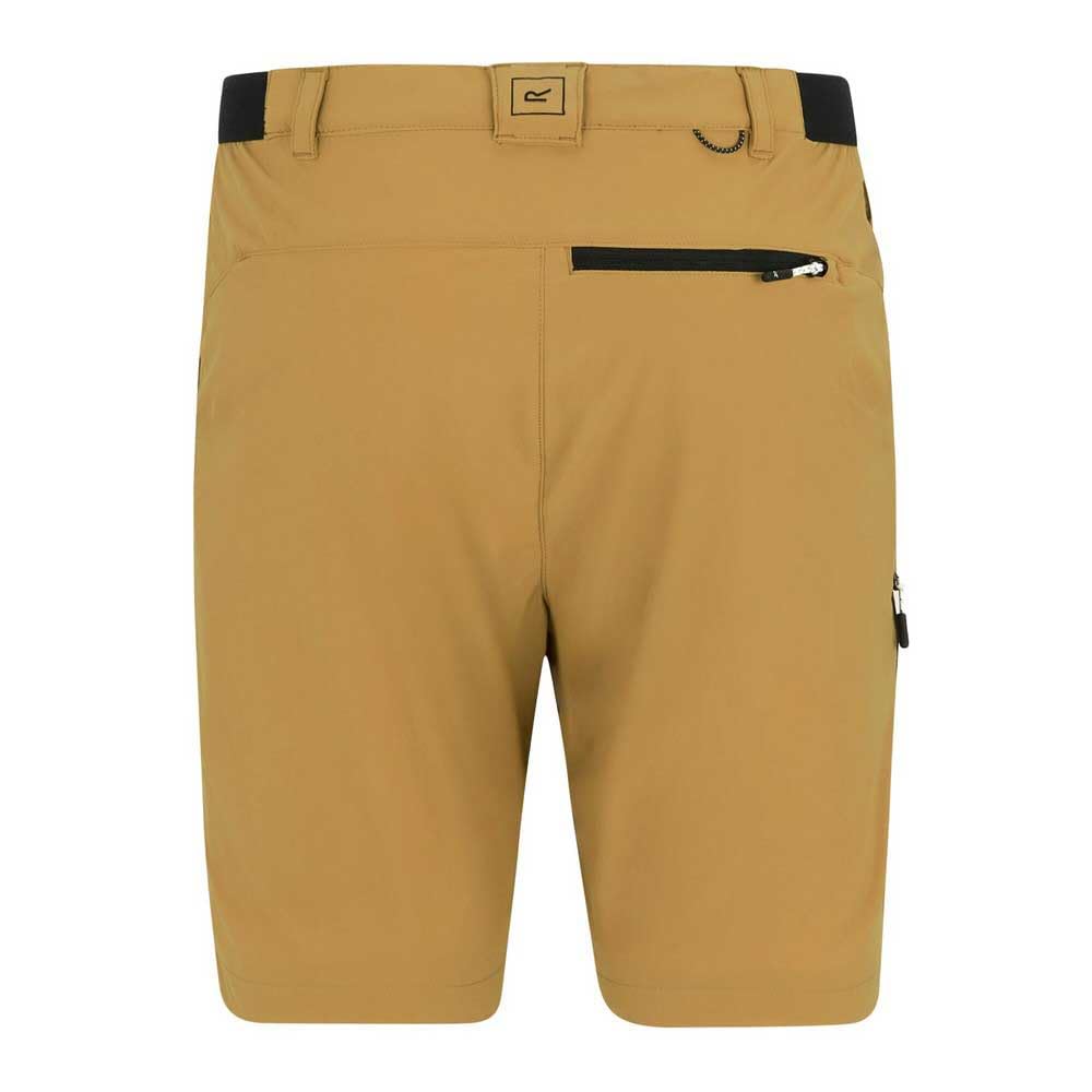 Regatta Herren Shorts A-insttvlltshts