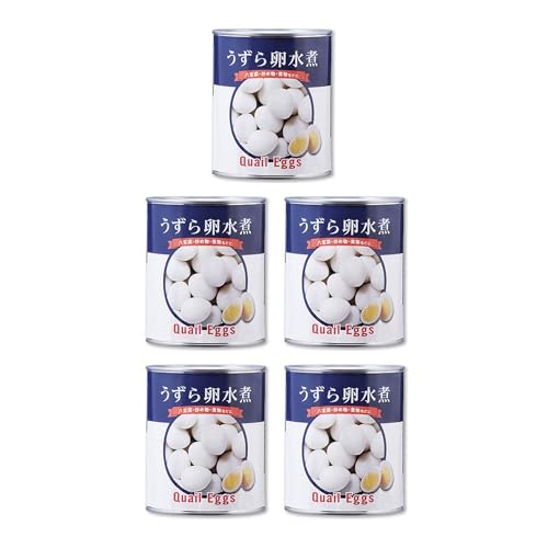 Vandro 痑ʋl 2 ×5  (VandroSt)