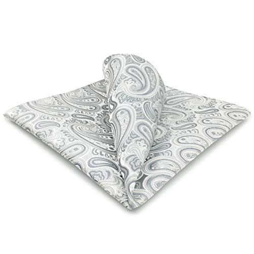 Shlax & Wing Silver Paisley Pocket Square Silk Mens Hanky Grey Silk AH31