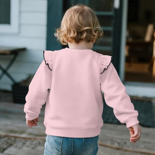 WELLFLYHOM Girls Sweatshirts 1-8T Long Sleeve Crewneck Shirts Top Pullover Graphic Sweater Top for Fall Spring3