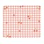 Red Cherries&Pinkish-White Checkers