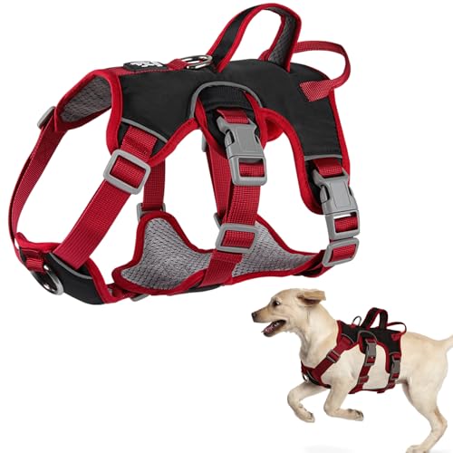 LiebeDD Pettorina Cane di Taglia Piccola Media, Regolabile Traspirante Comodo Pettorina Anti Tiro per Cani con 2 Antifuga Maniglie, per Corsa y Passeggiate, Nero+Anello al Seno, S