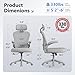 SeekFancy Ergonomic Office Chair M903, Computer Desk Chair with Wheels, High Back Mesh Office Chair with Adjustable Lumbar Support, Headrest, Flip-Up Armrests, All-Grey