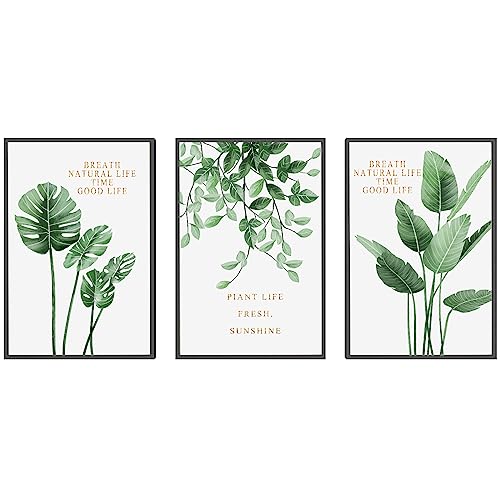 植物 アートパネル 3枚 飾り絵 緑 葉 北欧 おしゃれ ポスター アルミ合金 フレーム 壁掛け アートフレーム モダン アートボード 絵画 印刷された インテリア部屋飾り 壁掛け (A,30cmx45cmx3pcs)