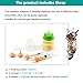 YeulYuuri Pet Feeding Bottle and Syringe Set for Puppies and Kittens(1 Bottles,2 Syringes,6 Nipples) Green