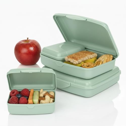 Hausfelder Brotdose Set Erwachsene – 4er Lunchbox Set hellgrün mit 2 großen (16x12x4 cm) & 2 kleinen (9,5x7x3,5 cm) Dosen, stapelbar, spülmaschinenfest, ideal für Schule, Büro & unterwegs