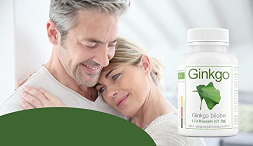 Ginkgo Tabletten Avenar Pharma Ginkgo Biloba Blattpulver 420 mg