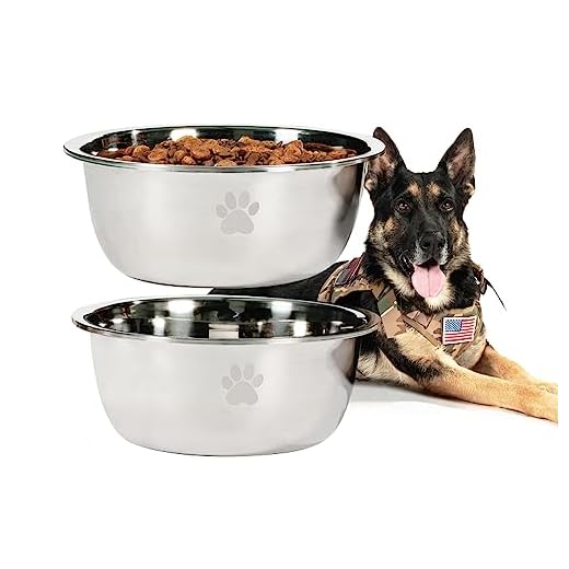 Podinor Large Dog Water Bowl 2 Pack, 0.75 Gallon 96oz Stainless Steel Metal Dog Food Bowl for Medium Large Dogs, Silver