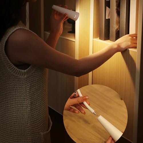 Image of Study Lamp