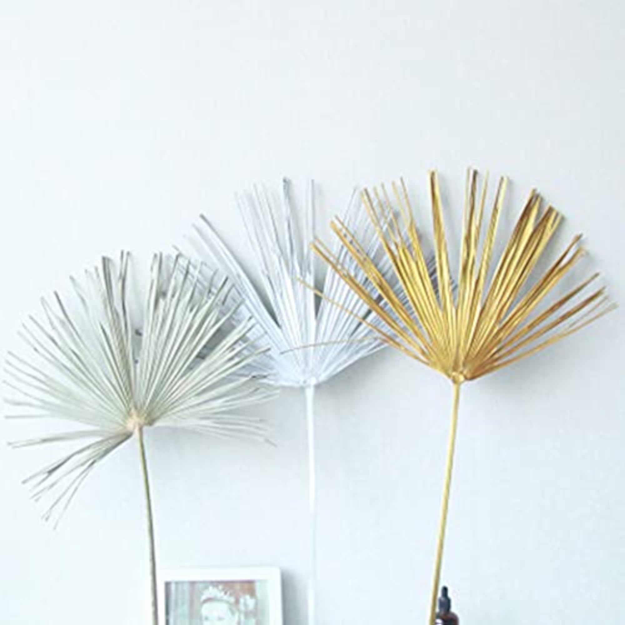 Creative Preserved Palma Leaf Flower Gift