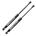 BOXI 2pcs Liftgate Gas Charged Lift Supports Struts Gas Struts Shocks Gas Springs Supports Lift Struts Lift Shocks for BMW X3 E83 2004-2010 Sport Utility 4-Door | Replaces 6136 51243400379 SG202010