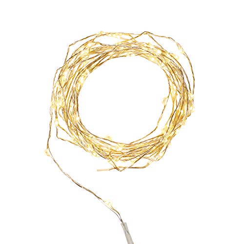 Lights4fun Indoor Fairy Lights with 100 Warm White Micro LEDs