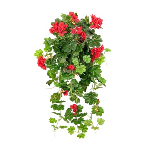 aplanta Künstliche Hänge-Geranie - Alessio | 72 cm, für drinnen, Kunstpflanze, wie echt, Allergiker geeignet, pflanzliche Dekoration Praxis, Office & Wohnzimmer