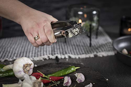 Kuhn Rikon Epicurean Garlic Press, Stainless Steel, 6.5 X 1 X 1.5 Inches, Silver #TOP4
