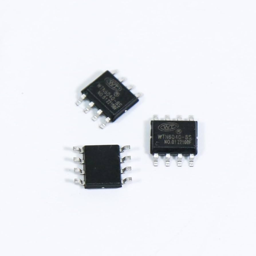 Amazon.com: WTN6040-8S-F-B,WTN6,Recordable Voice Sound Chip