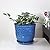 Gepege 6 Inch Beaded Ceramic Planter Set of 2 with Drainage Hole and Saucer for Plants, Indoor-Outdoor Large Round Succulent Orchid Flower Pot (Blue, for Inner-pots not Larger Than 5 Inch)